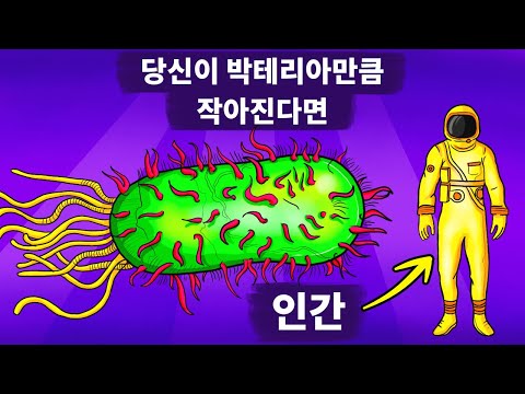 당신이 갑자기 <strong>박테리아</strong> 크기로 줄어든다면