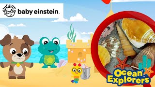 Patterns With Shells Ocean Explorers Compilation Baby Einstein Learning Show Kids Cartoon