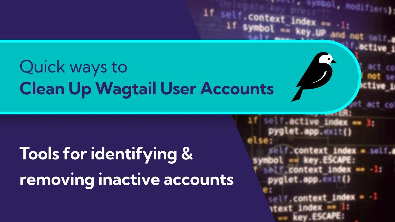 Thumbnail for video: How to Clean Up Your Wagtail User Accounts