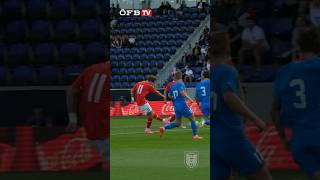 Christoph Lang -Tor des Jahres 2023 #youthfootball #goal