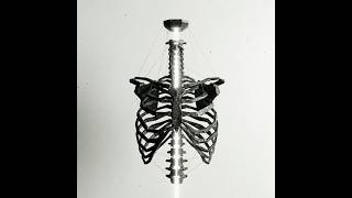 Chalice Sect: Undefined
Released April 30, 2026.
Bc: https://chalicesect.bandcamp.com/track/undefined
Ig: http://www.instagram.com/chalicesect
::: e radio
http://instagram.com/radioestacion/
https://soundcloud.com/eradio-webzine
https://letterboxd.com/radioestacion/
https://www.facebook.com/radioestacion.net
https://twitter.com/irreidio
http://www.lastfm.es/user/e_radio Chalice Sect: Undefined