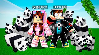 PANDA AGRESIVO ATACA A HAROLIN  Reaccionando a TODOS los TIPOS PANDAS MINECRAFT  Sandra Cires Play