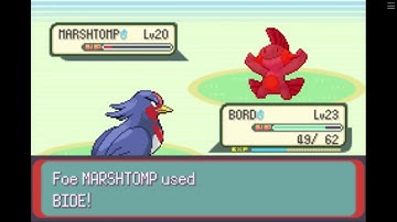 So I Accidentally Started the Infamous May Battle on Route 110 While Grinding ;-;