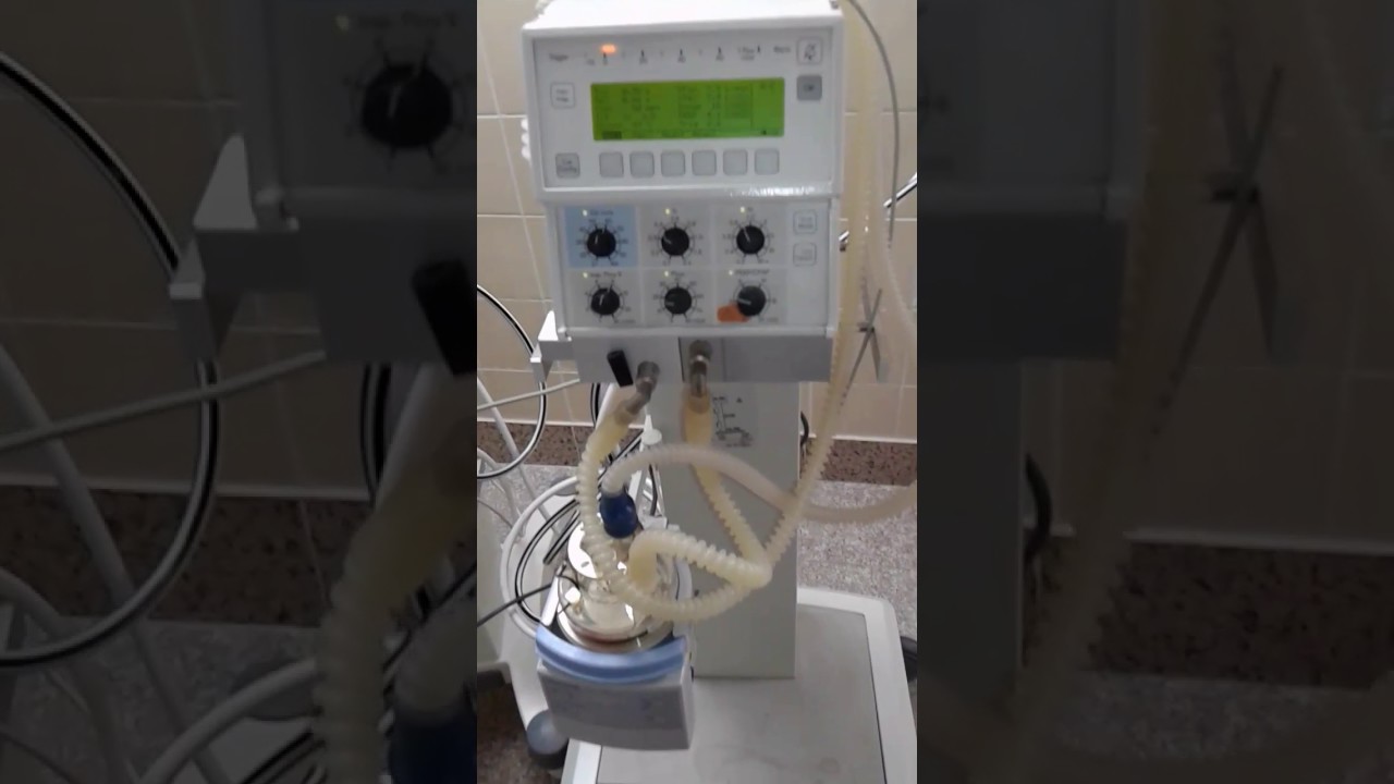 Introduction in neonatal ventilation