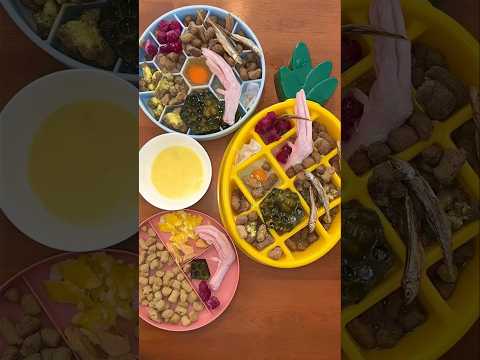 वीडियो: स्क्रैच से DIY कुत्ता खाना