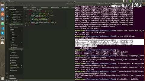 【day010 】vue3 0+flask+mysql=小说网站：完成搜索功能接口做点加密