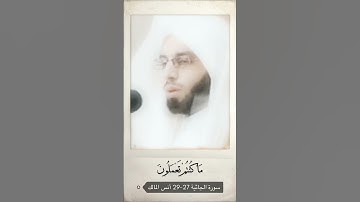 سورة الجاثية الاية 27-29