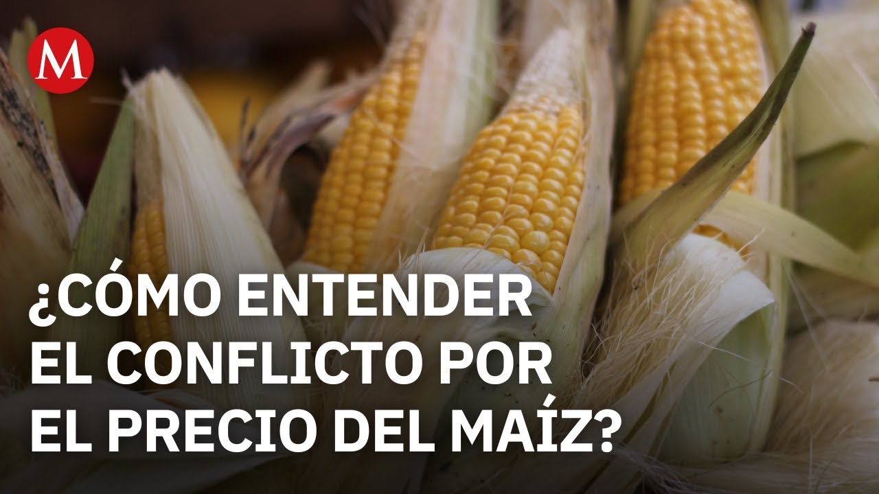 Tonelada de maíz, 25% arriba de precios internacionales: Secretario de Agricultura
