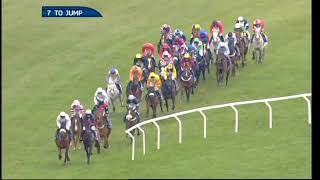 2013 Coral Cup - Cheltenham Festival