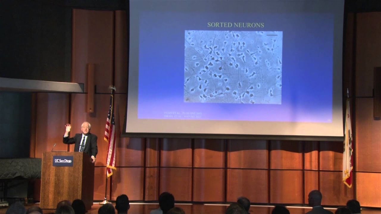 Catch the Next Big Wave Larry Goldstein YouTube