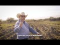 Los mejores videos de la semana de los candidatos a gobernador en Tamaulipas.