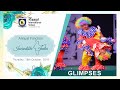 Glimpses of annual day 2018  rawal international school