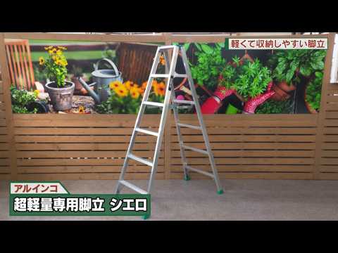 Lightweight and Easy-to-Store Stepladders: DO! It Yourself (Aired