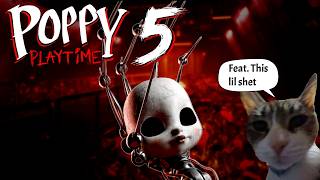 First vid back.. This Game is Crazy - Poppy Playtime Chapter 5 (Ft. my cat)