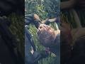 Trash Content The Last of Us 2 СЛОЖНОСТЬ ХАДКОР
