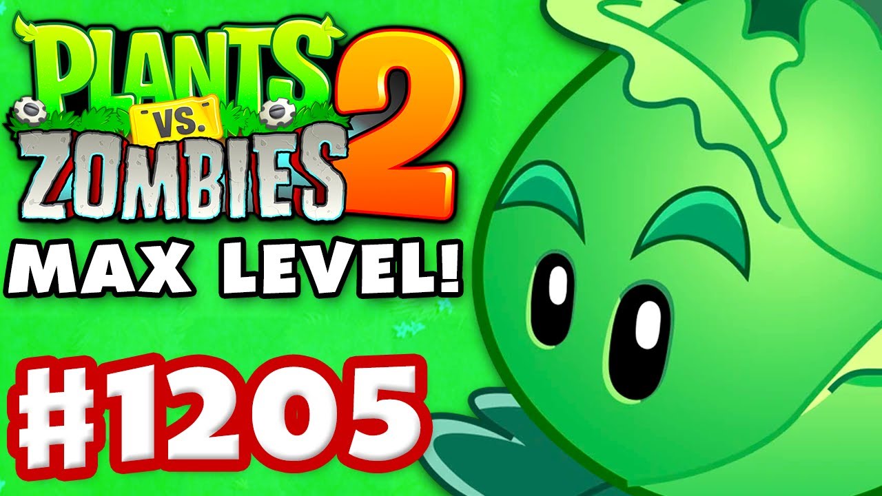 【PAC PLANTS】速達 SunPatiens 1 Gal. Compact Red SunPatiens Impatiens Outdoor Annual