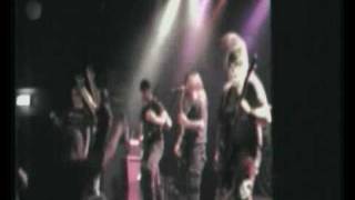 Lifeless - Seed of Hatred