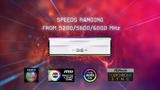 Silicon Power 32GB Zenith RGB 6000 MT/s DDR5 SU032GXLWU60AFDFBH