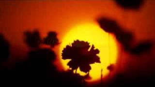 The Easter Story -- The Bible Experience