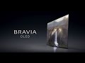 Bravia  oled  be immersed in sound  vision  60 sec