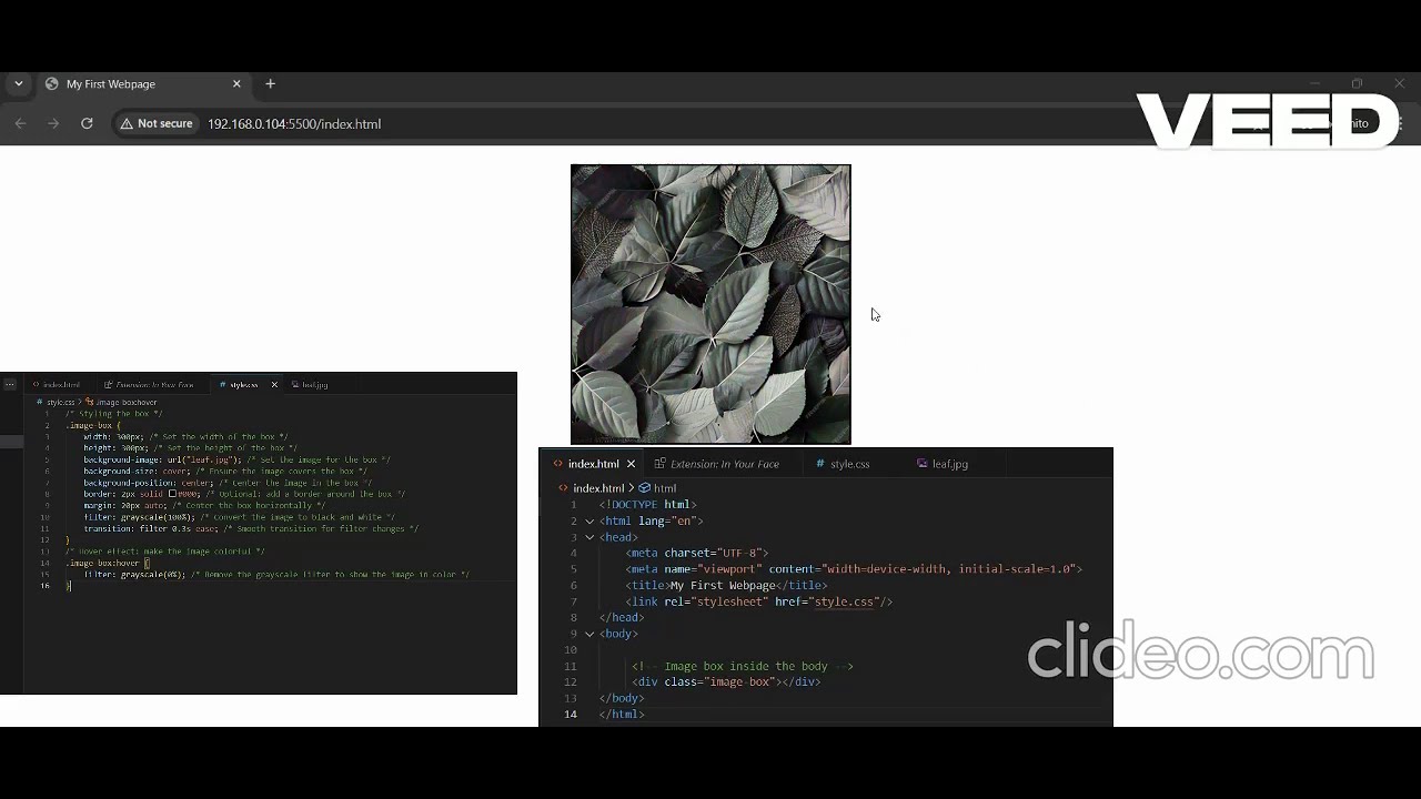 Hover Effect in CSS - YouTube