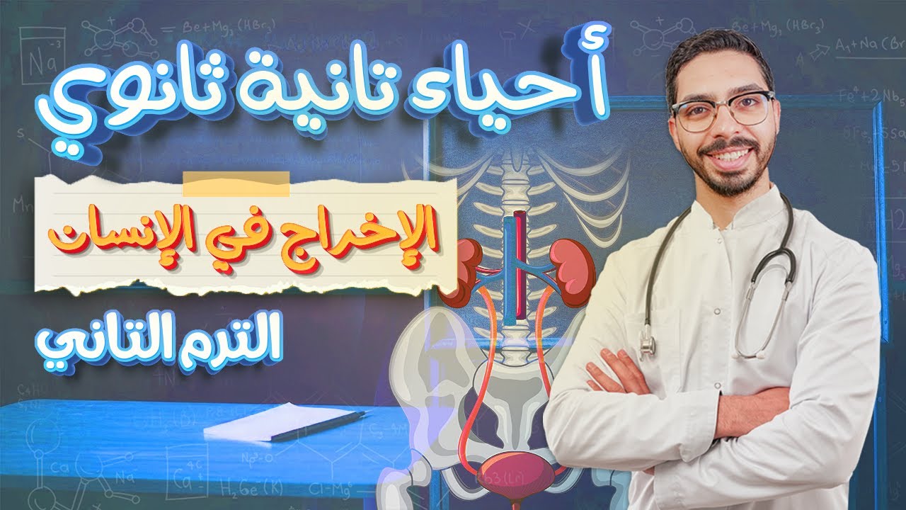 أحياء تانية ثانوي الترم الثاني الإخراج في الإنسان الكلية والكبد