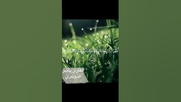 سورة الانسان القارئ ياسر الدوسري من الآيه ٢٠ ال الآيه ٢٥
