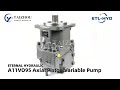 A11vo axial piston variable pump   eternal hydraulic