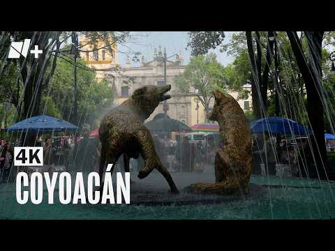 Centro de Coyoacán, CDMX | 4K | Sonidos relajantes