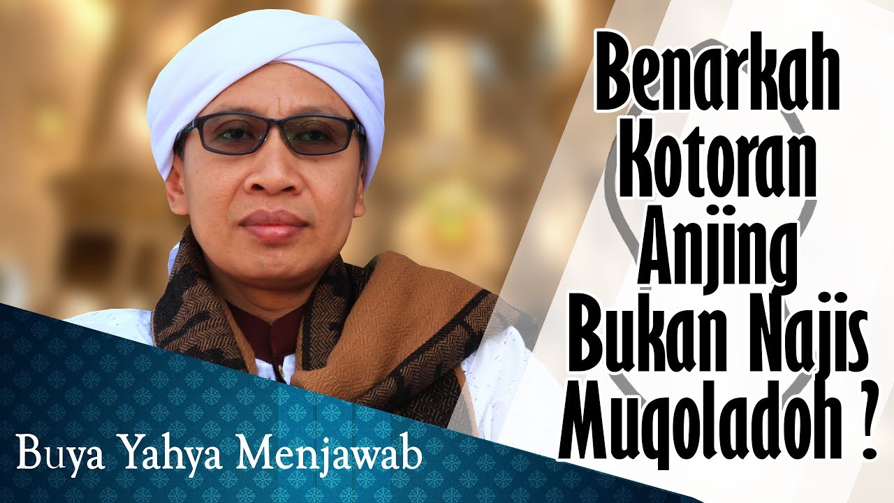 Benarkah Kotoran Anjing Bukan Najis Mugholadoh Buya 