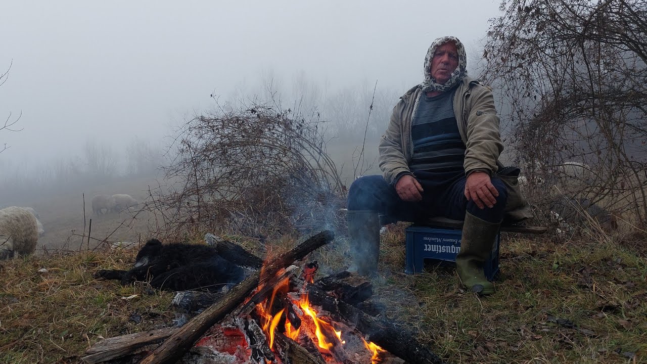 ON SASTAVLJA PJESME DOK ČUVA OVCE/ČOBAN KOJI JE NAUČIO ŽIVOTNU ŠKOLU U PLANINI!