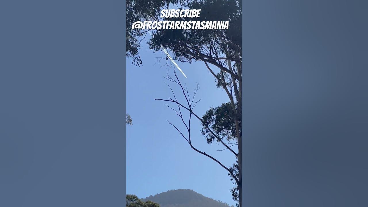 there-goes-the-new-zealand-to-perth-flight-farming-shortsvideo