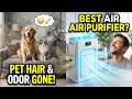 BEST Air Purifier for Pet Hair Odor and Allergies Review (SHOCKING RESULTS!)