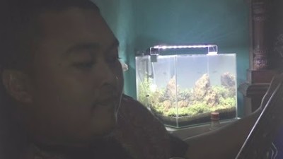 Cover (Ragu) - Rizki Febian
