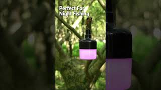 Pair FIREFLY Bivvy Light with BITEKEEPER Pro Bite Alarm — unlock the ultimate setup 🎣✨