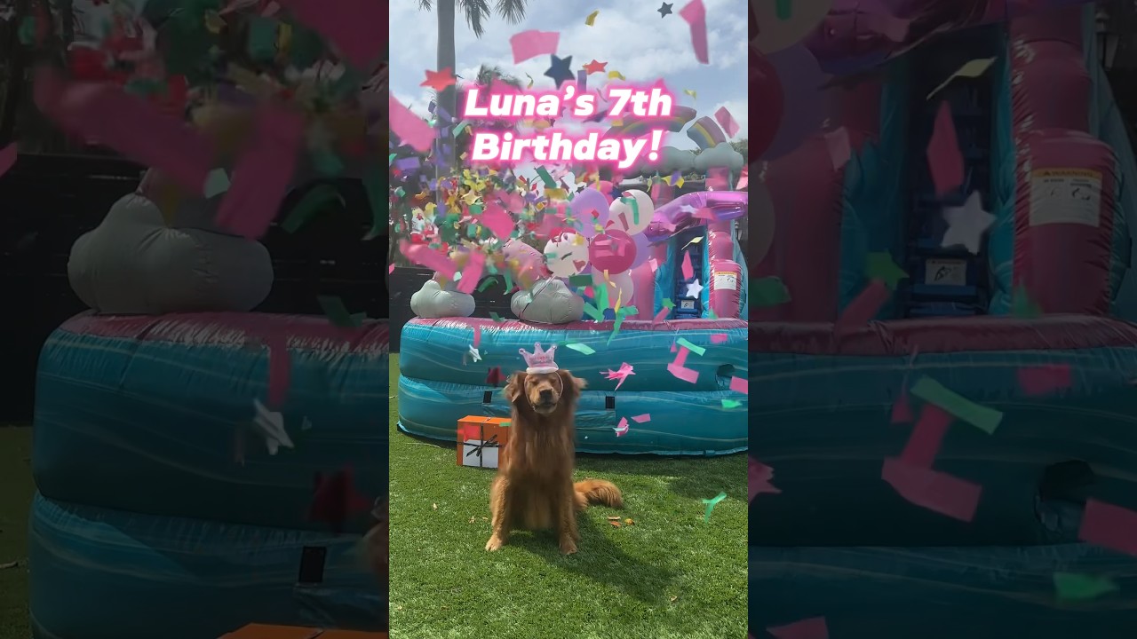 I threw a HUGE birthday party for my dog! 