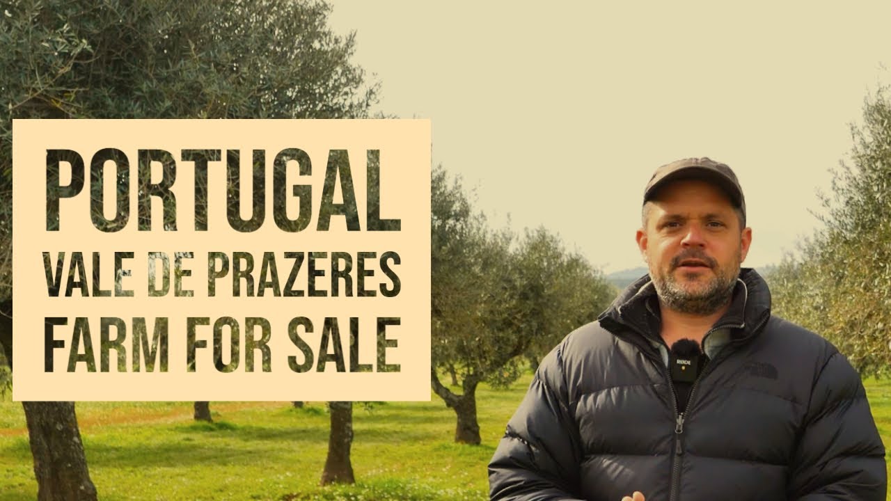 FARM FOR SALE - Vale de Prazeres, Fundão, Central Portugal, VIRTUAL PROPERTY TOUR