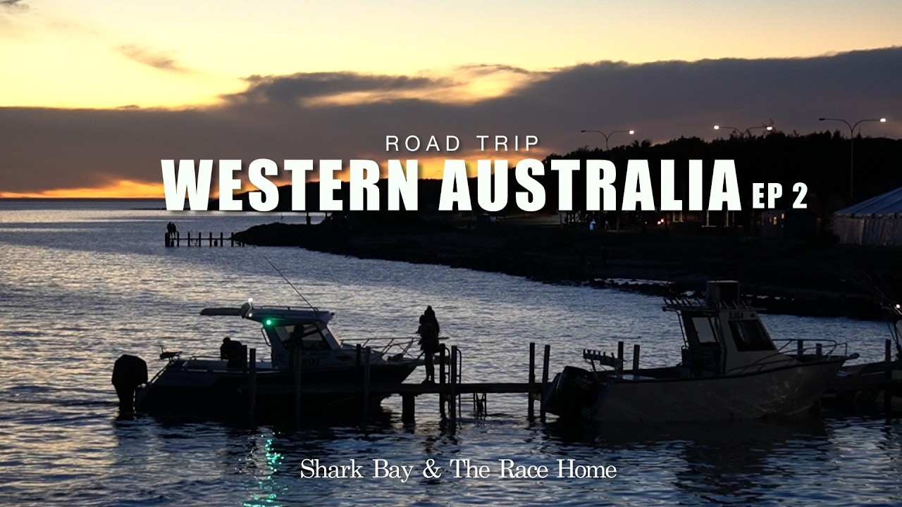We Finally Reached Shark Bay! | Western Australia's Ultimate Road Trip