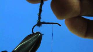Beginner Fly Tying Tips - Part 5: The Peacock and Partridge