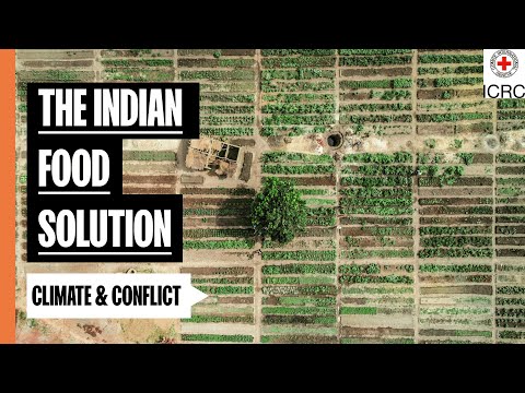 Fighting malnutrition with therapeutic food sourced from India