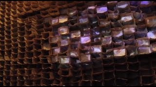 Nicola Parente: Colony Collapse, A Site Specific Installation