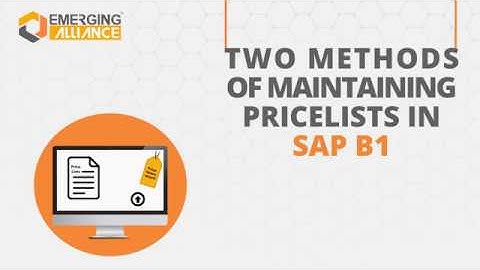 TWO METHODS OF MAINTAINING PRICE LISTS IN SAP BUSINESS ONE