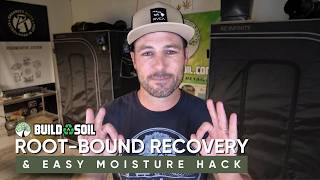 BuildASoil: 2x4 Series // Season 3 Episode 9 Week 9 Update, Root-Bound Recovery & Easy Moisture Hack