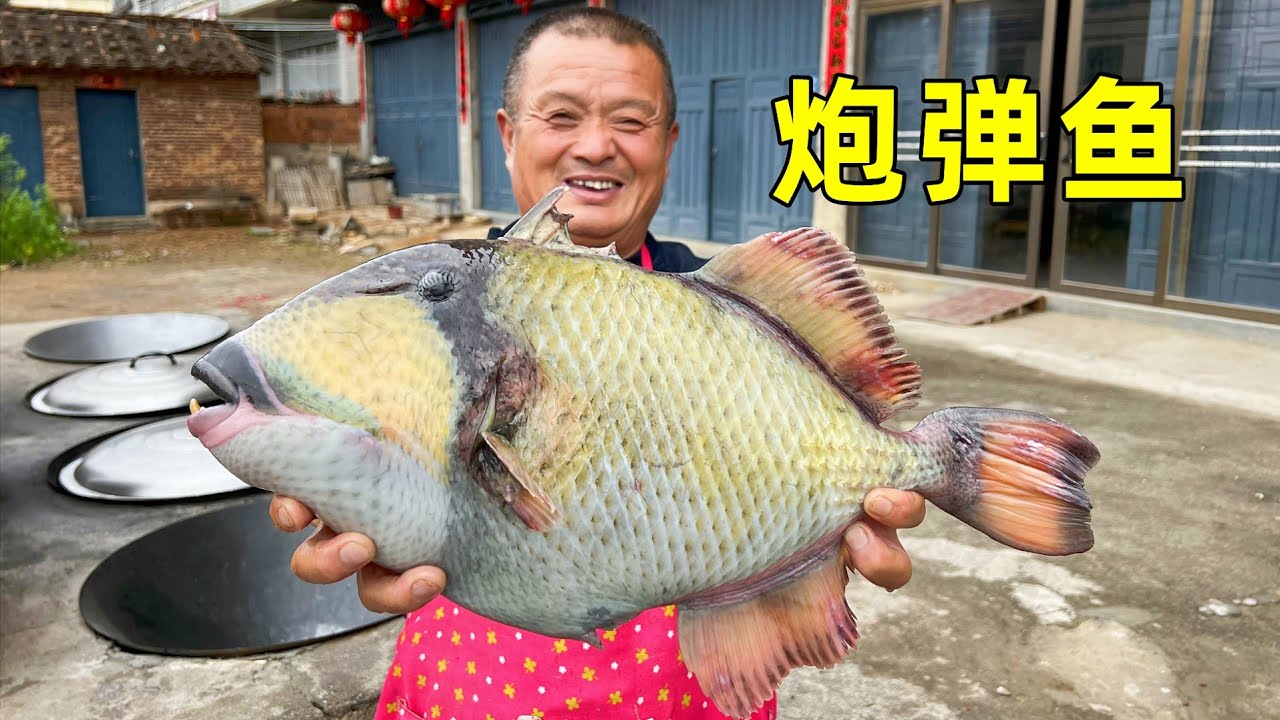 阿胖山花1000元買條「炮彈魚」，魚皮刀都砍不破，魚牙咬胡蘿蔔嘎嘣脆