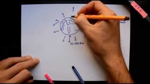 How does special relativity affect the GPS? (Breakthrough Junior Challenge)