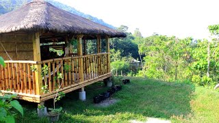 Nagtanim at Nag IHAW kami Ng Barbecue Dito sa aking bagong Bahay KUBO