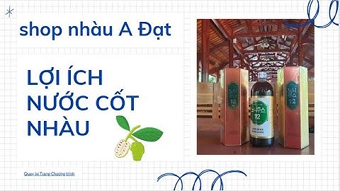CÂY NHÀU NGAY TẠI ĐƯỜNG_CÔNG DỤNG QUẢ NHÀU, NƯỚC CỐT NHÀU, TINH CHẤT NHÀU, ZALO 0973765730