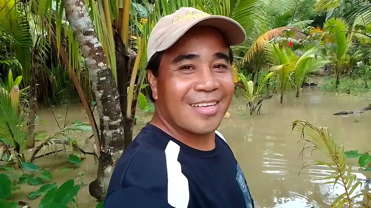 Video fishing Baldo Fenol Mataas Ang Tubig Sa Elog 