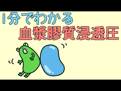 【1分でわかる】血漿膠質浸透圧【解説】