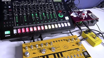 Techno Loop 01 (Roland TR8S/Behringer TD-3/MXR Distortion+)